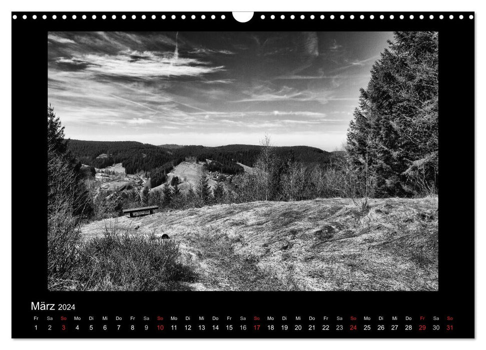 Harz-Bilder in monochrome (CALVENDO Wandkalender 2024)