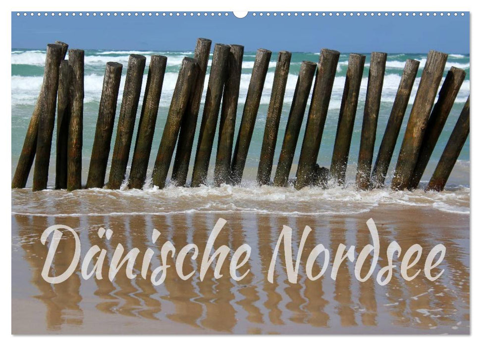 Dänische Nordsee (CALVENDO Wandkalender 2024)