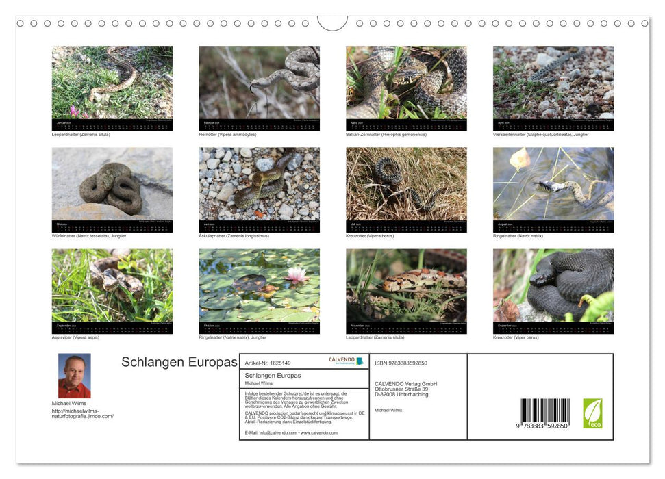 Schlangen Europas (CALVENDO Wandkalender 2024)