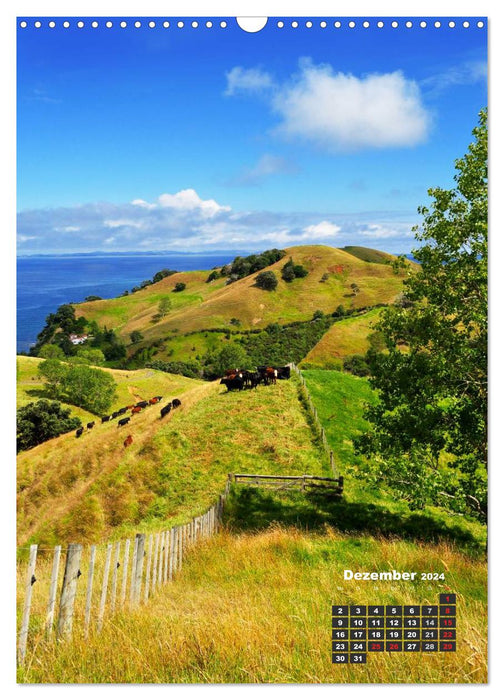 Reise durch Neuseeland (CALVENDO Wandkalender 2024)
