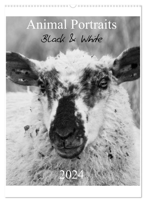 Portraits d'animaux noir et blanc 2024 version CH (calendrier mural CALVENDO 2024) 
