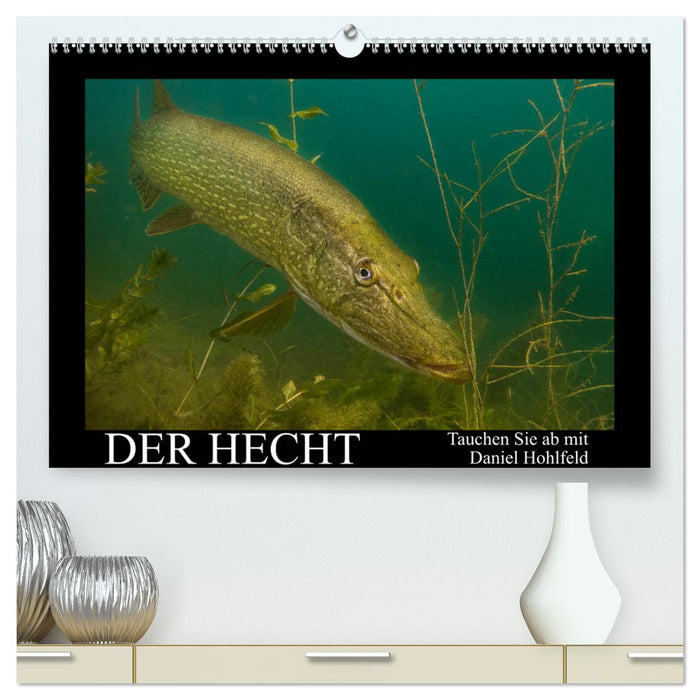 Der Hecht - Tauchen Sie ab mit Daniel Hohlfeld (CALVENDO Premium Wandkalender 2024)