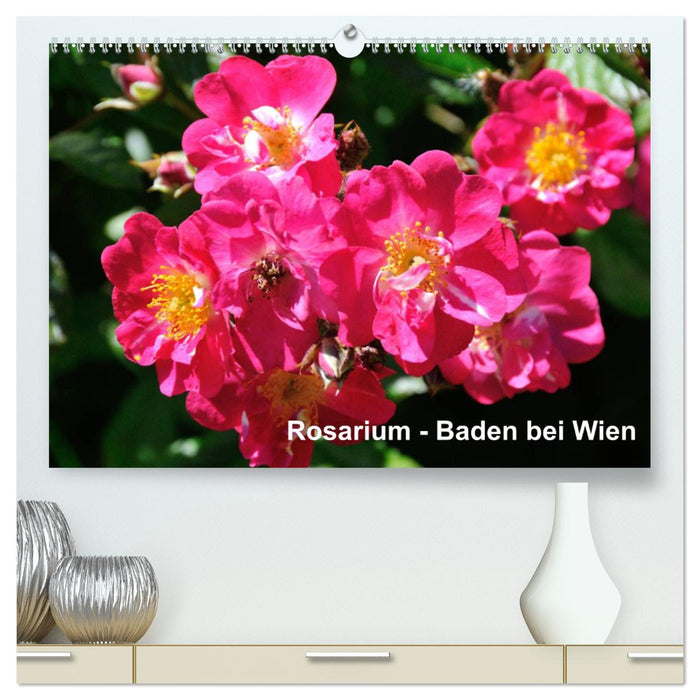 Baden bei Wien - Rosarium (CALVENDO Premium Wandkalender 2024)