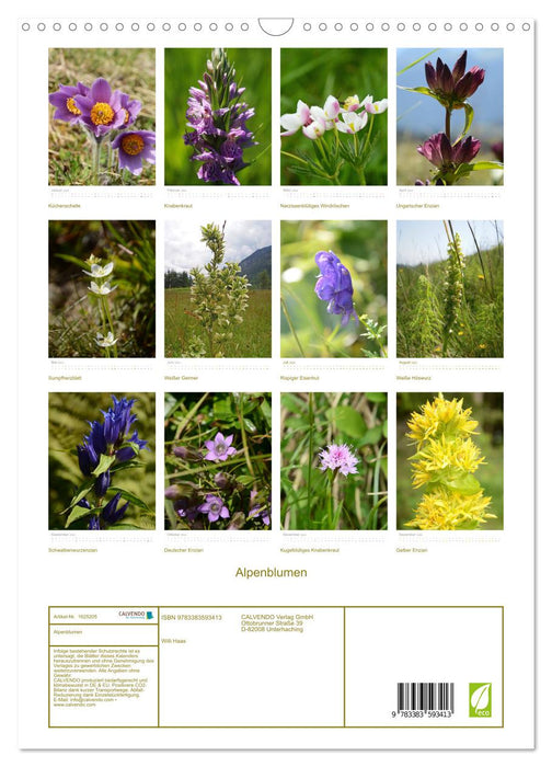 Alpenblumen (CALVENDO Wandkalender 2024)