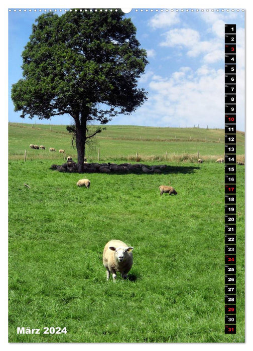 Traumhaftes Irland (CALVENDO Premium Wandkalender 2024)