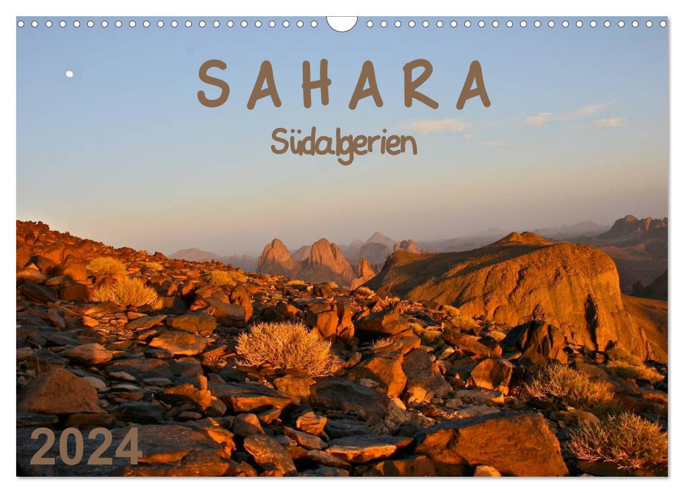 Sahara - Sud Algérie (Calendrier mural CALVENDO 2024) 