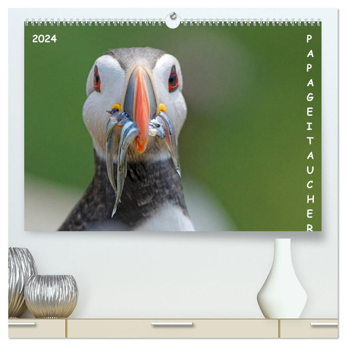 Papageitaucher (CALVENDO Premium Wandkalender 2024)