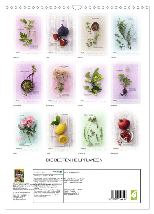 Les meilleures plantes médicinales (Calendrier mural CALVENDO 2024) 