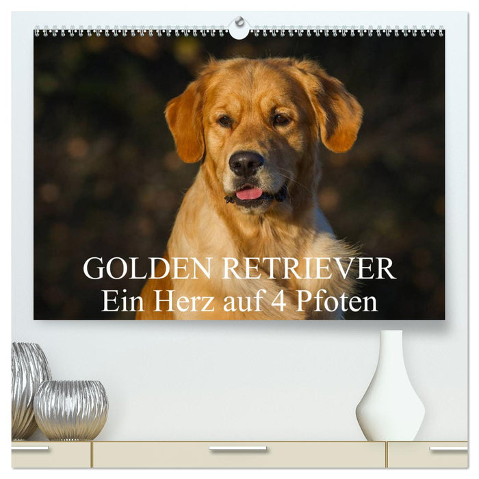 Golden Retriever - Un cœur sur 4 pattes (Calendrier mural CALVENDO Premium 2024) 
