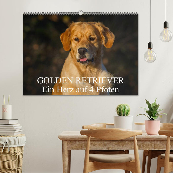 Golden Retriever - Un cœur sur 4 pattes (Calendrier mural CALVENDO 2024) 