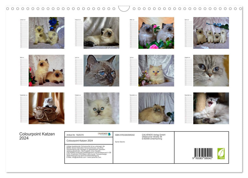 Chats Colourpoint 2024 (Calendrier mural CALVENDO 2024) 