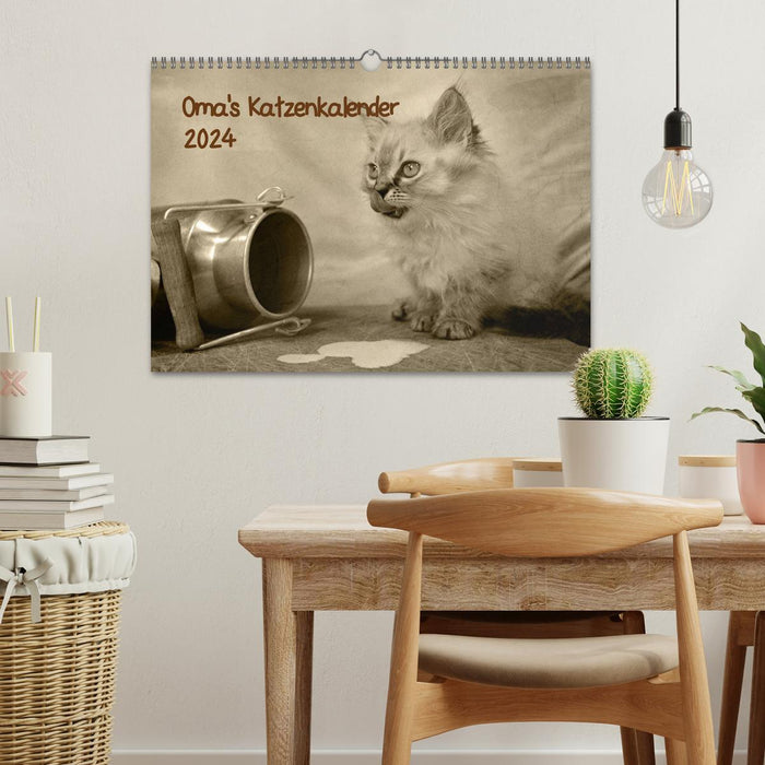 Oma's Katzenkalender 2024 (CALVENDO Wandkalender 2024)