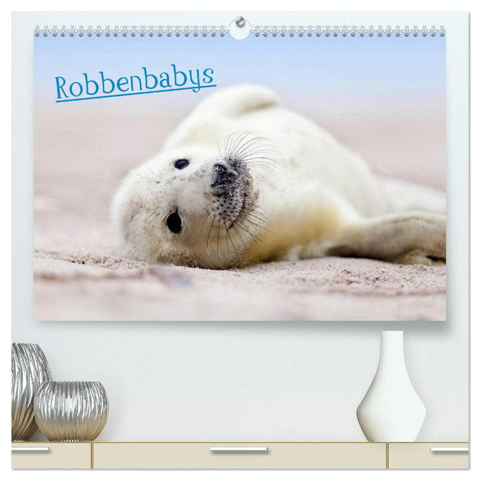 Robbenbabys (CALVENDO Premium Wandkalender 2024)