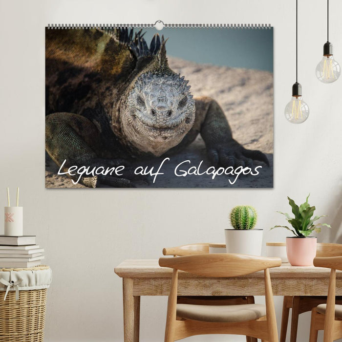 Leguane auf Galapagos (CALVENDO Wandkalender 2024)