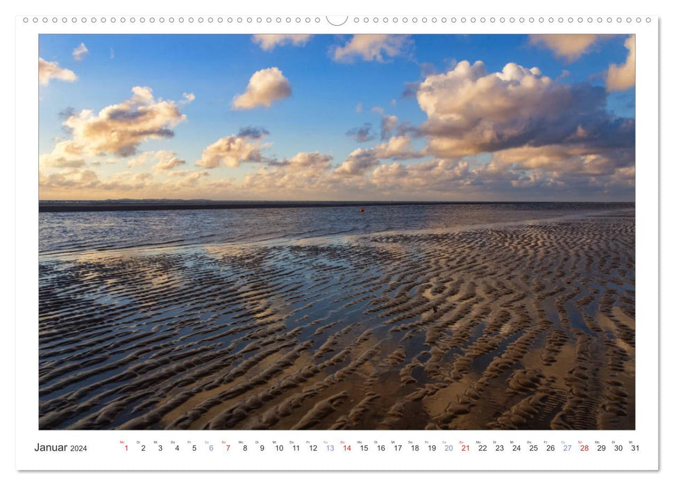 Impressionen der Nordseeinsel Amrum (CALVENDO Premium Wandkalender 2024)