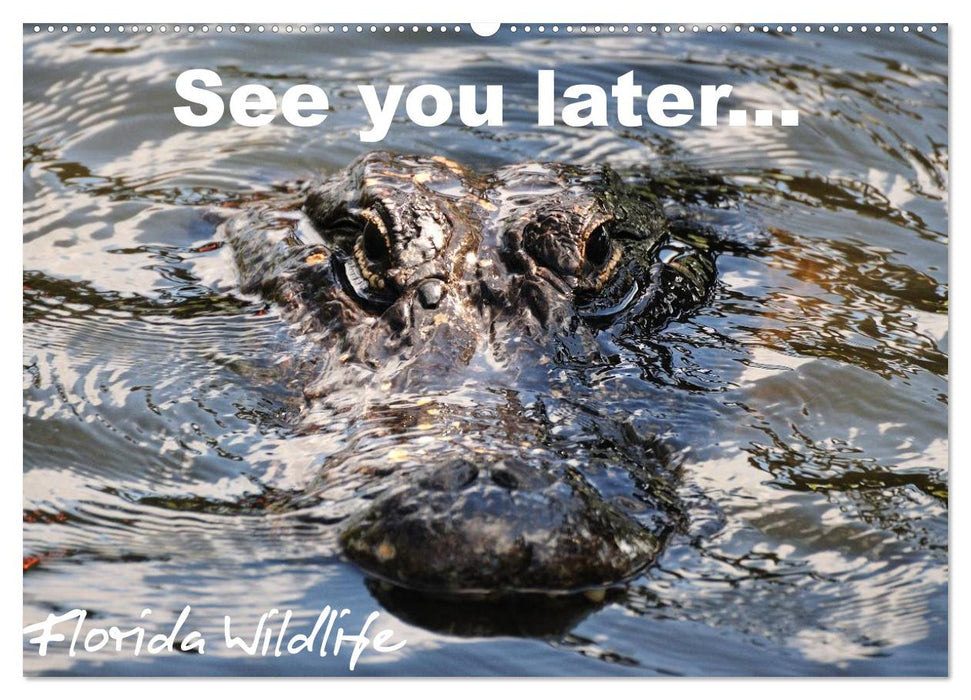 See you later ... Florida Wildlife (CALVENDO Wandkalender 2024)