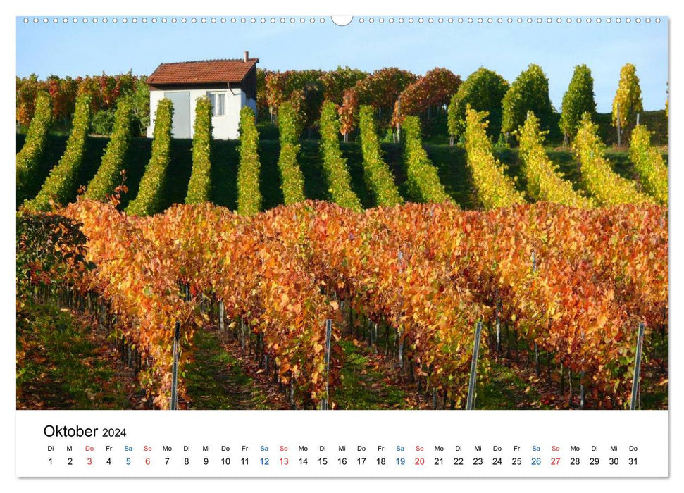 Württemberger Wein 2024 (CALVENDO Premium Wandkalender 2024)