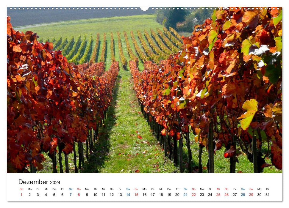 Württemberger Wein 2024 (CALVENDO Premium Wandkalender 2024)