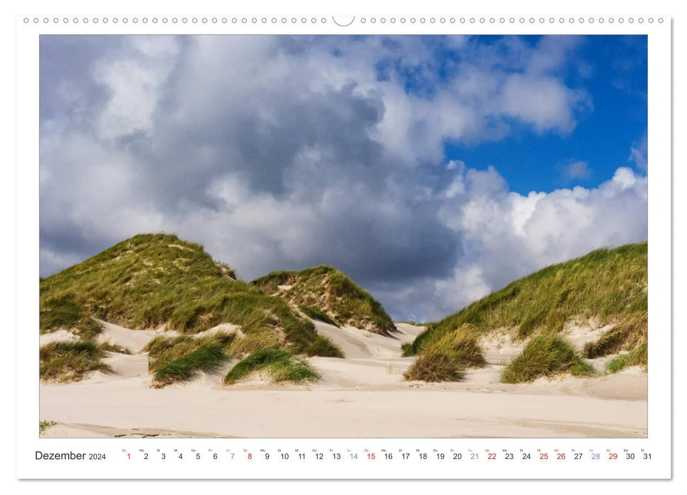 Impressionen der Nordseeinsel Amrum (CALVENDO Wandkalender 2024)