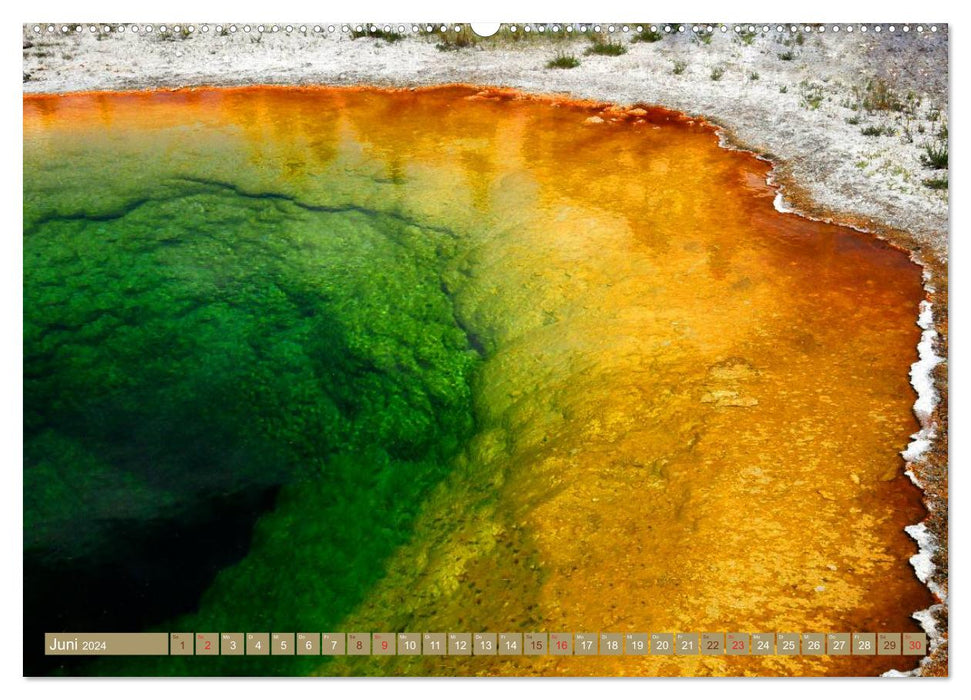 Der Yellowstone Nationalpark (CALVENDO Wandkalender 2024)