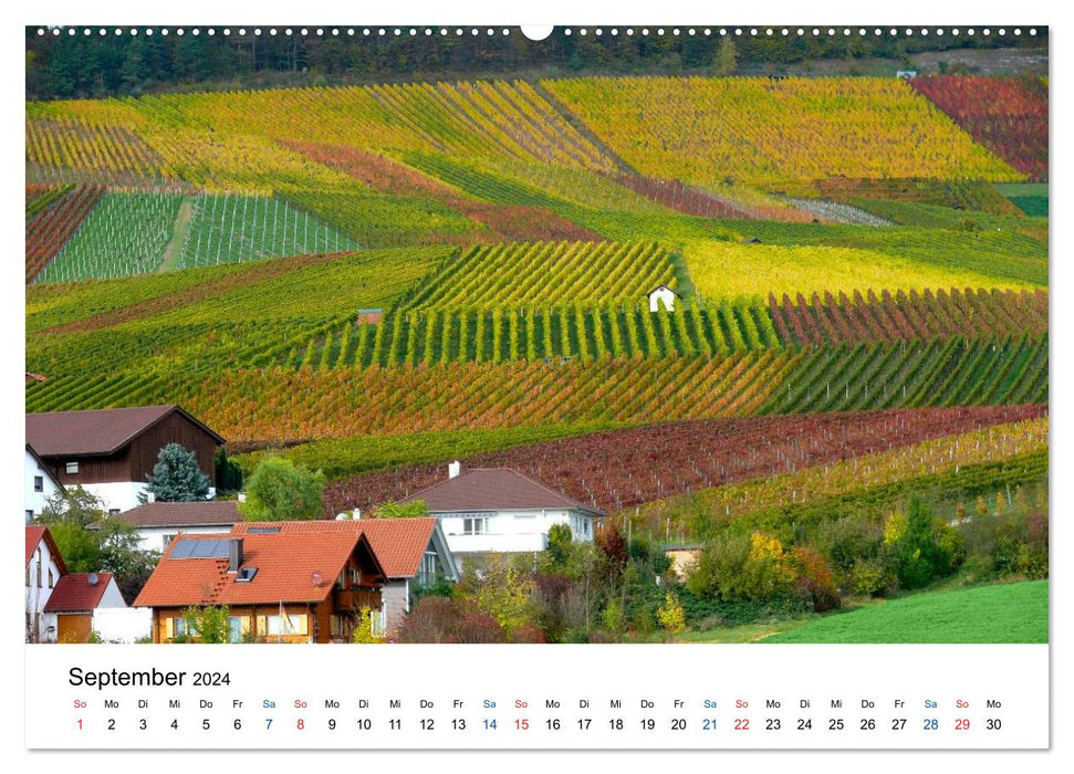 Württemberger Wein 2024 (CALVENDO Wandkalender 2024)