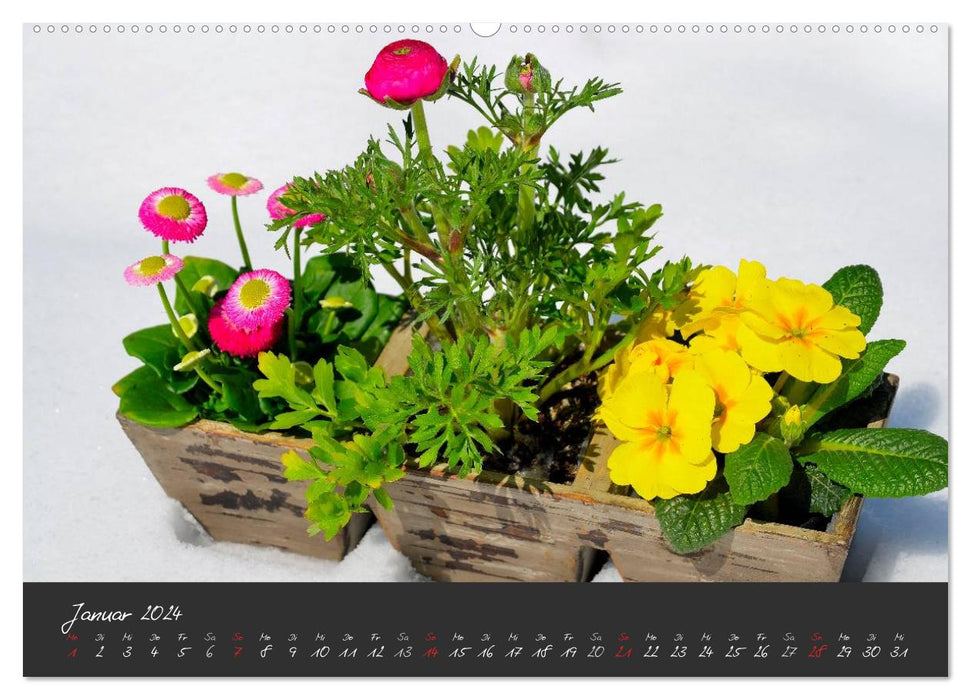 Romantische Gartenimpressionen (CALVENDO Wandkalender 2024)