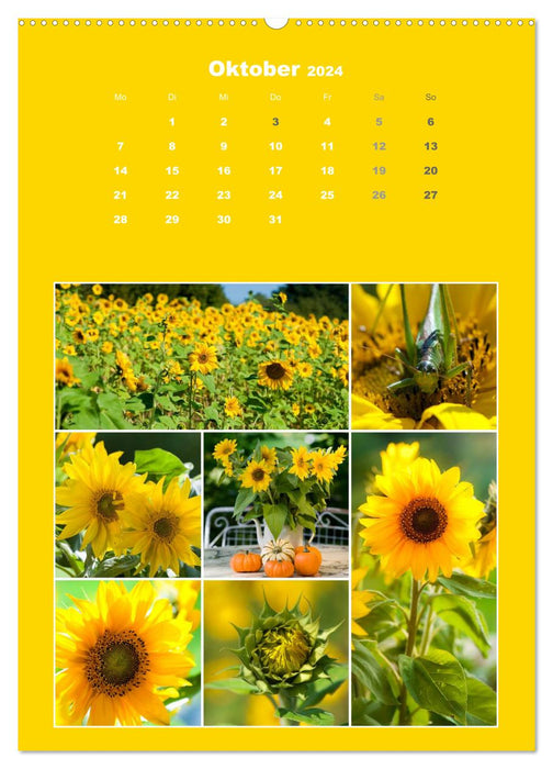 Der kunterbunte Collagen Kalender (CALVENDO Wandkalender 2024)