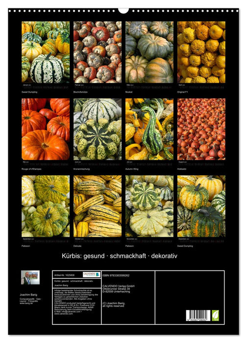 Kürbis: gesund · schmackhaft · dekorativ (CALVENDO Wandkalender 2024)