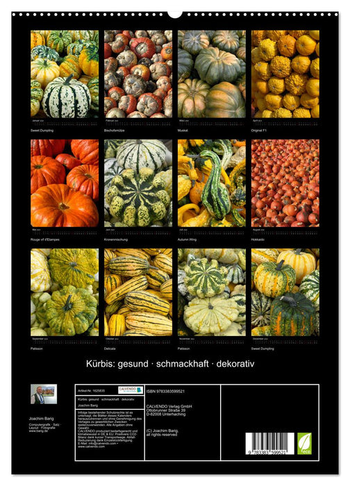 Kürbis: gesund · schmackhaft · dekorativ (CALVENDO Premium Wandkalender 2024)