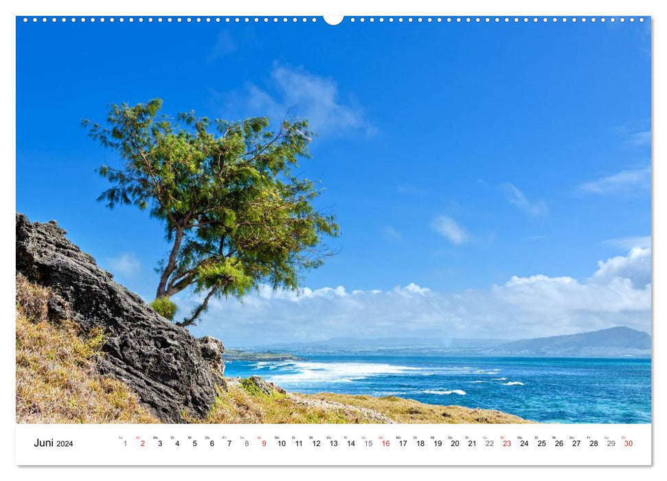 Inselparadies Mauritius (CALVENDO Wandkalender 2024)