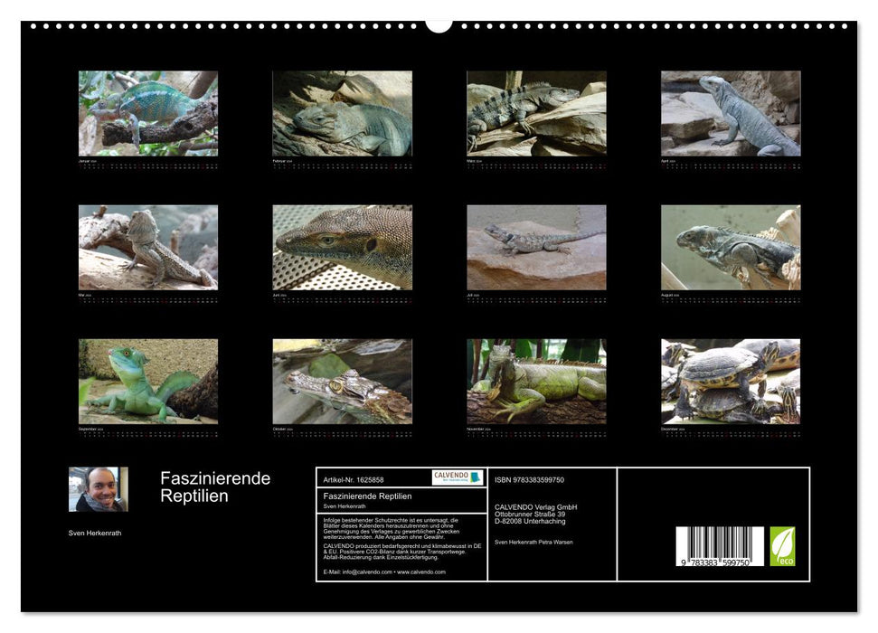 Faszinierende Reptilien (CALVENDO Premium Wandkalender 2024)