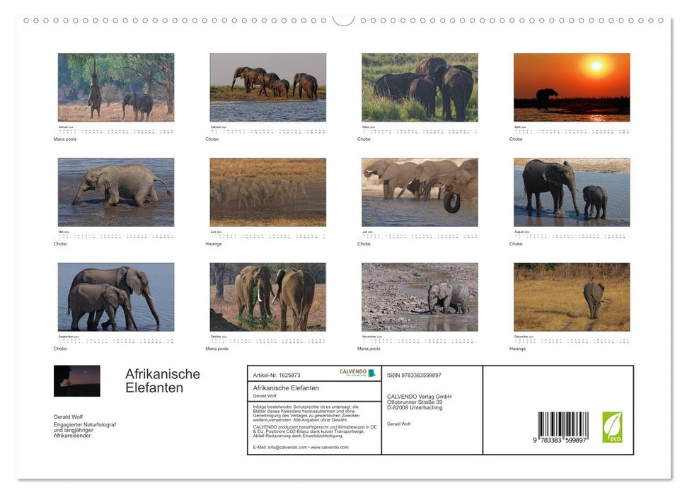Afrikanische Elefanten (CALVENDO Premium Wandkalender 2024)