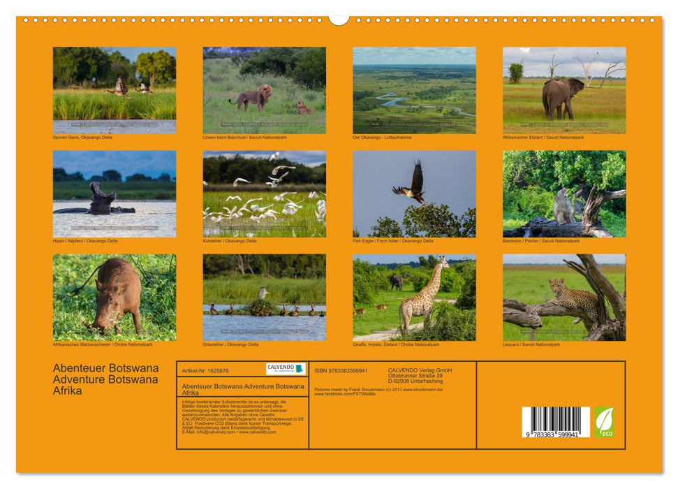 Abenteuer Botswana Afrika - Adventure Botswana (CALVENDO Premium Wandkalender 2024)