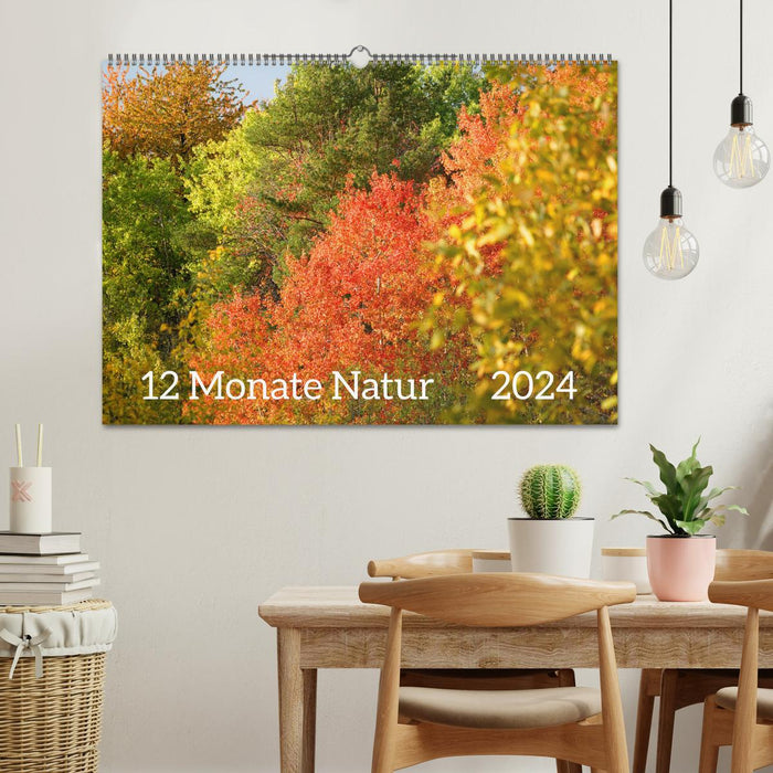 12 mois de nature (calendrier mural CALVENDO 2024) 