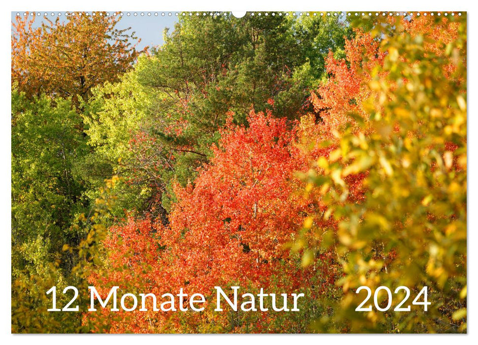 12 mois de nature (calendrier mural CALVENDO 2024) 