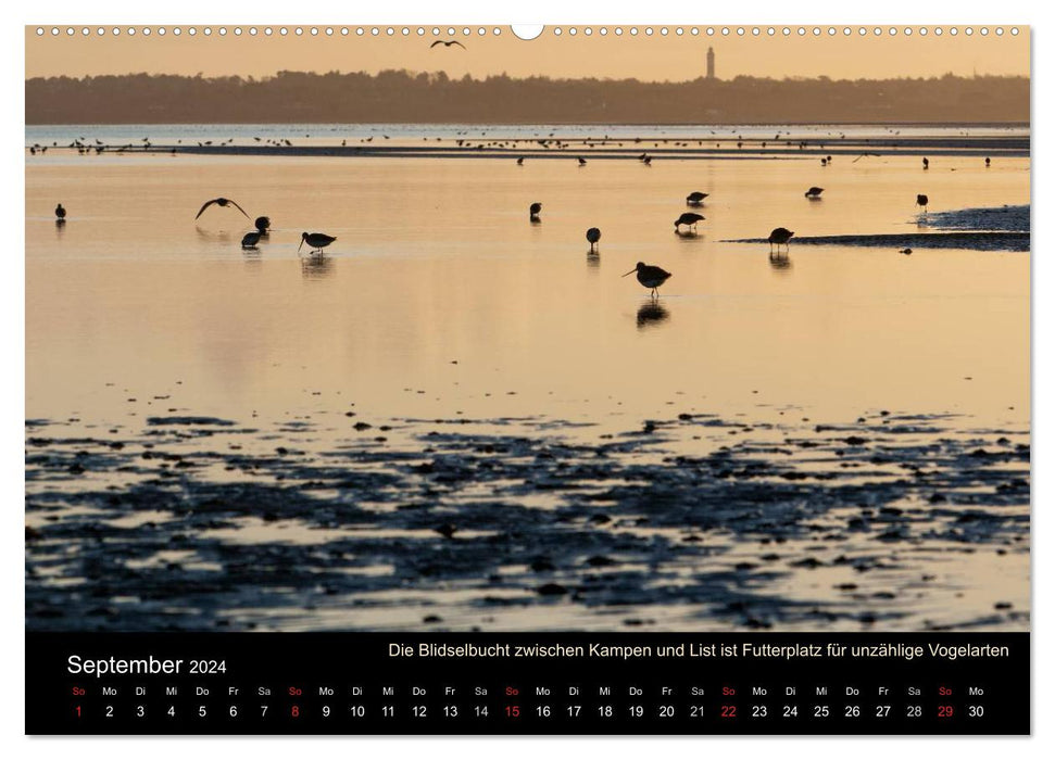 Sylt-Abende - Fotografien von Beate Zoellner (CALVENDO Premium Wandkalender 2024)