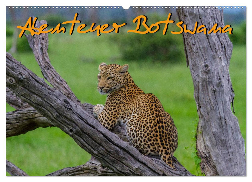 Abenteuer Botswana Afrika - Adventure Botswana (CALVENDO Wandkalender 2024)
