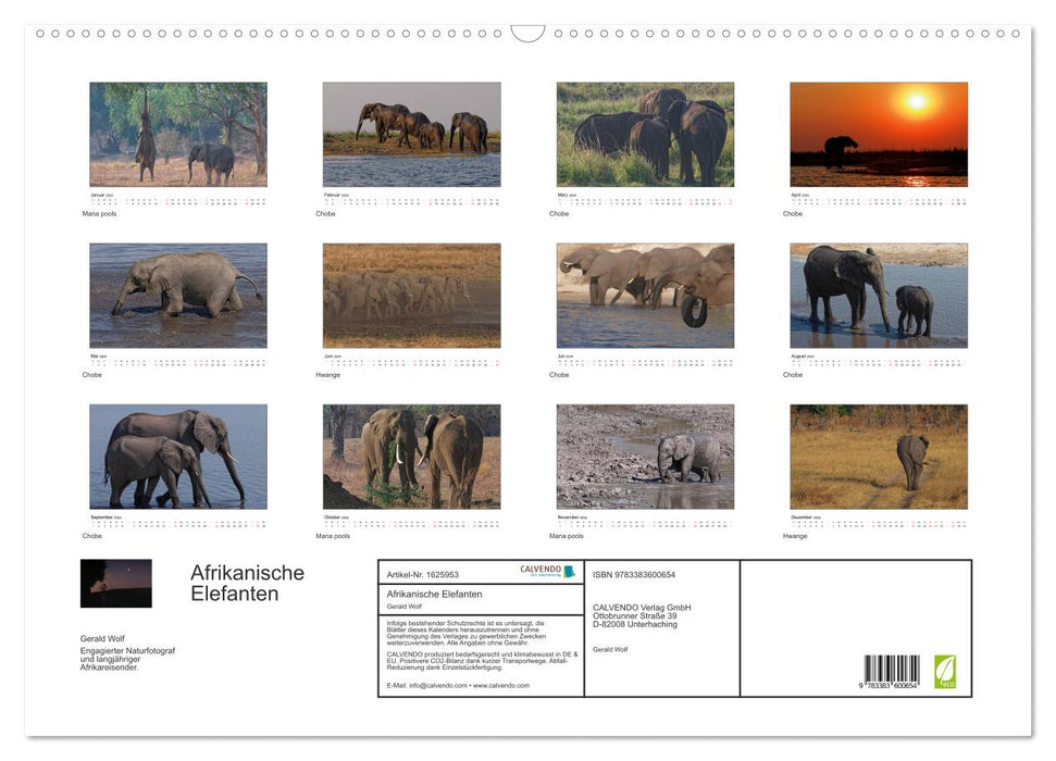 Éléphants d'Afrique (Calendrier mural CALVENDO 2024) 