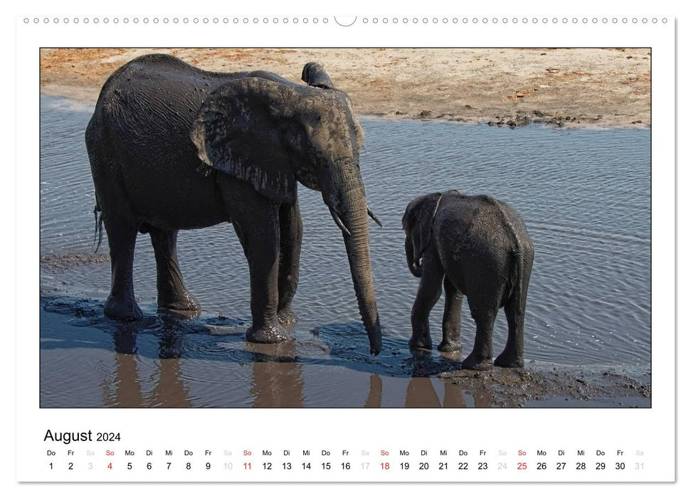 Afrikanische Elefanten (CALVENDO Wandkalender 2024)