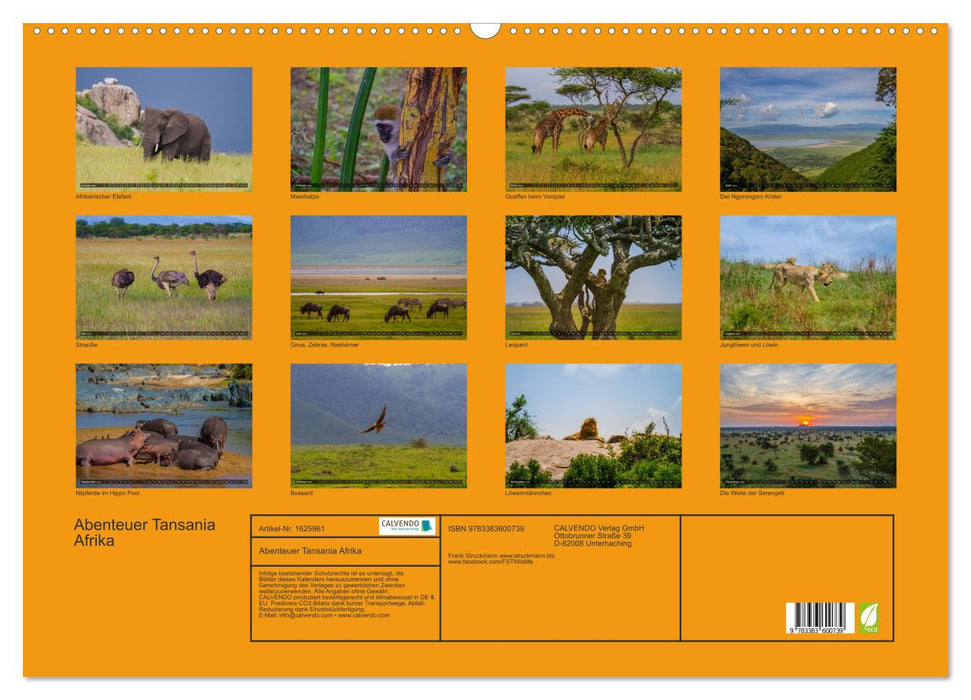Abenteuer Tansania, Afrika (CALVENDO Wandkalender 2024)