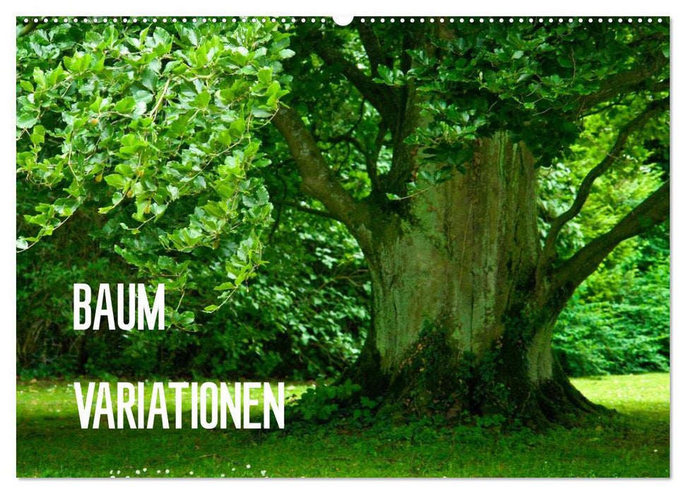 Baum-Variationen (CALVENDO Wandkalender 2024)