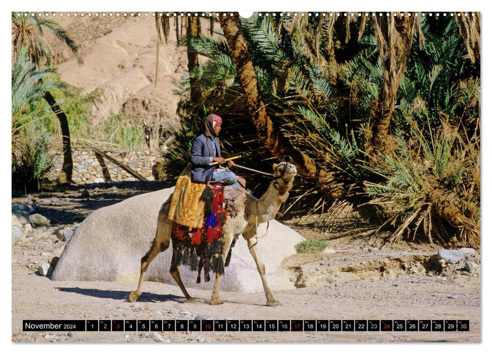 Désert du Sinaï (Calvendo Premium Calendrier mural 2024) 