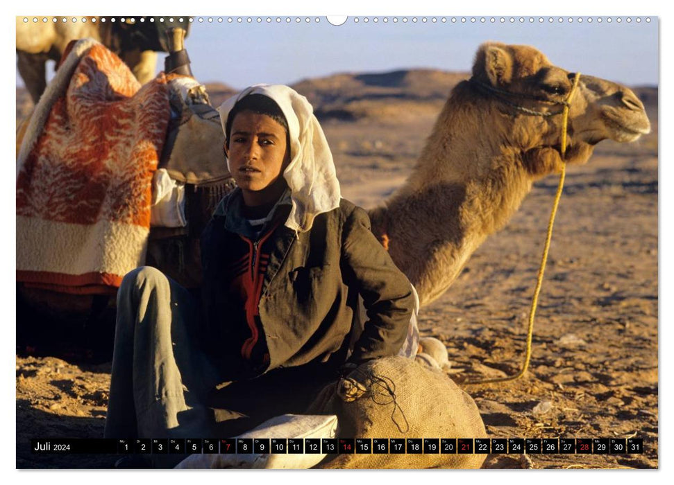 Sinai-Wüste (CALVENDO Premium Wandkalender 2024)
