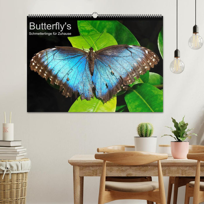 Butterfly's - Schmetterlinge für Zuhause (CALVENDO Wandkalender 2024)