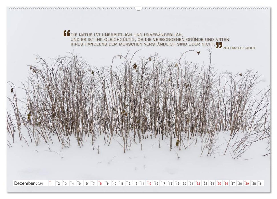 Emotionale Momente: Zitate & Natur (CALVENDO Premium Wandkalender 2024)