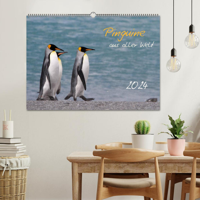 Pingouins du monde entier (Calendrier mural CALVENDO 2024) 