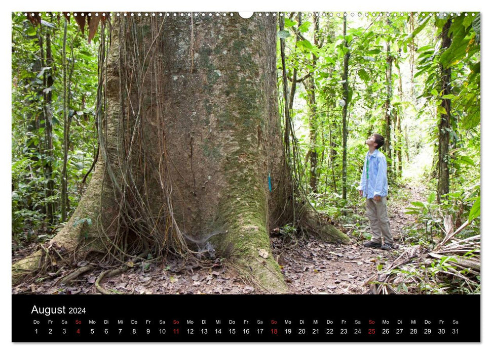 Pérou - des Andes à l'Amazonie (Calvendo Premium Wall Calendar 2024) 