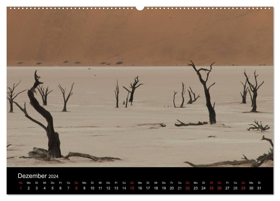 Desert Magic Namibie (Calvendo Premium Calendrier mural 2024) 