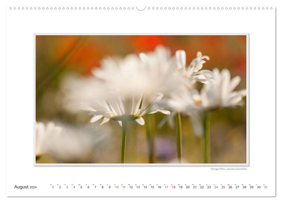 Emotionale Momente: Die Blumenwiese. (CALVENDO Premium Wandkalender 2024)