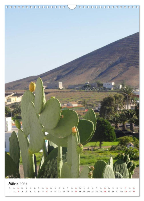 Fuerteventura -schlicht schön (CALVENDO Wandkalender 2024)